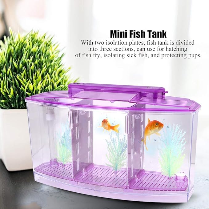 Fish , Desktop Transparent Breeding Fish , Mini Acrylic for Small Fishes with LED Light with Water Change Valve for Betta()