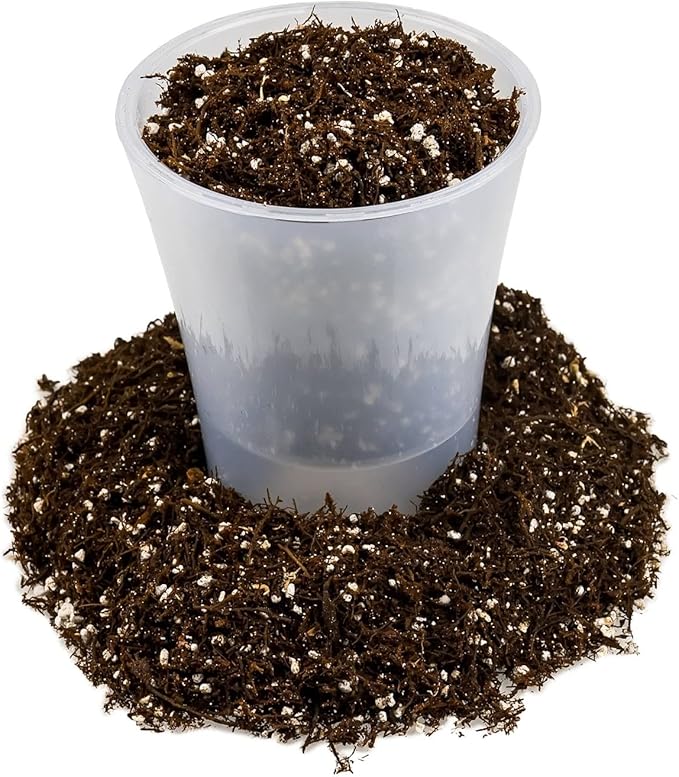 Gardenera Premium Organic Potting Soil, Succulent & Cactus Soil Mix, Fast Draining Pre-Mixed Blend - Horticultural Perlite (25%) + Peat Moss (75%) - Made in USA - 3 Quart