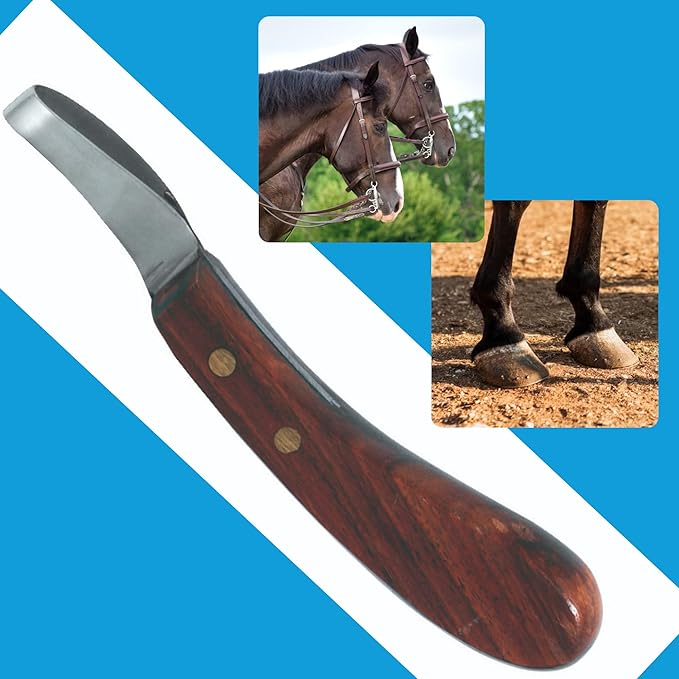 7 Inch Swiss Hoof Knife Double Edged – Stainless Steel Curved Blade Farrier Tool with Round Wooden Grip, Multipurpose Hoof Trimming Knife for Livestock. (Oval Hoof Knife)