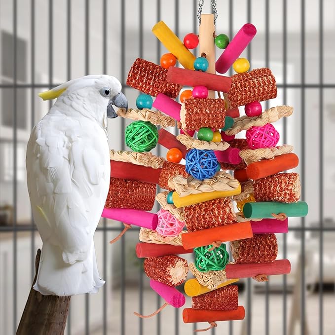 Kyouki Parrots Toys for Cockatiels, Budgies, Conures, Lovebirds, Quakers, Parrotlets, Caiques, Senegals, Meyer's & Other Small/Medium Birds - Natural Chewing & Foraging Toy with