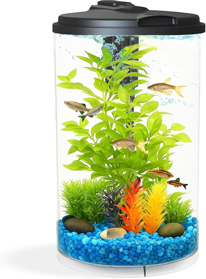 Koller Products AquaView 3-Gallon 360 Aquarium with LED Lighting (7 Color Choices) and Power Filter, 10.25 x 10.25 x 14.5