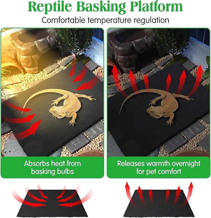 Tfwadmx Reptile Basking Platform, Tortoise Feeding Dish, Natural Rock Reptile Food Bowl Landscape Habitat Decor for Turtle Lizard Bearded Dragon Crested Gecko Snake