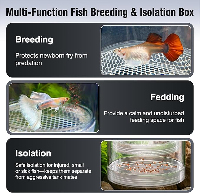 Floating Breeder Box for Fish Tank - Aquarium Isolation Separator Hatchery Incubator for Guppy, Betta, Clownfish, Coral, Baby & Injured Fish