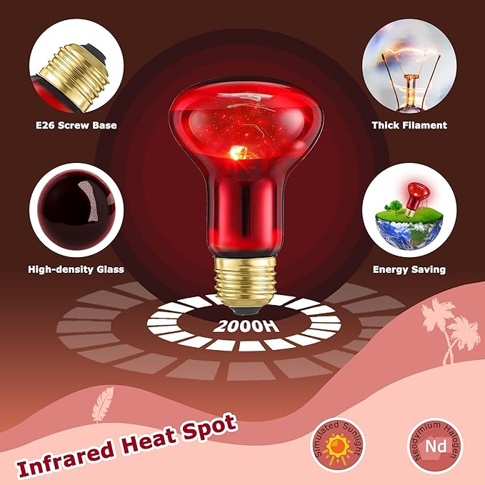 60W Red Infrared Heat Lamp Bulb for Reptiles – Basking Spot Light for Lizards, Bearded Dragons, Snakes & Chicks, Ideal E26 Heater for Terrariums, Chicken Coops & Brooders | 2 Pack