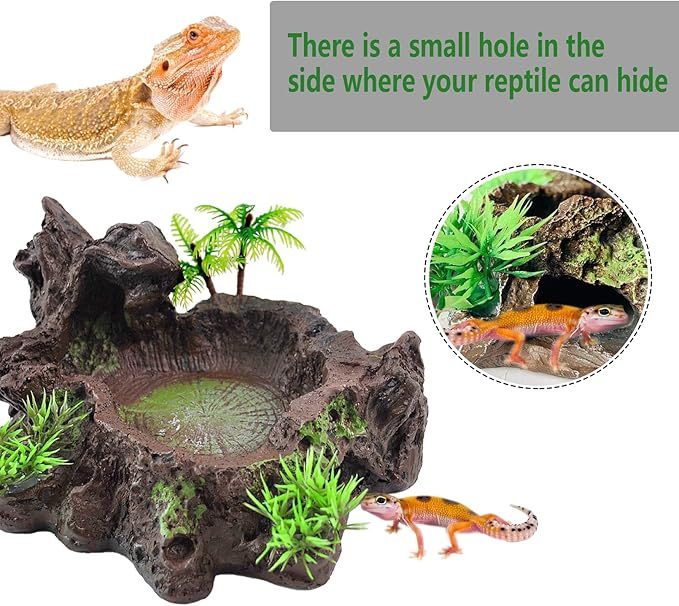 kathson Resin Reptile Bowl Bearded Dragon Food Dish Lizard Water Dish Reptiles Feeding Bowls with Feeder Tweezer for Leopard Gecko Tortoise Chameleon Water Frog Hermit Crab