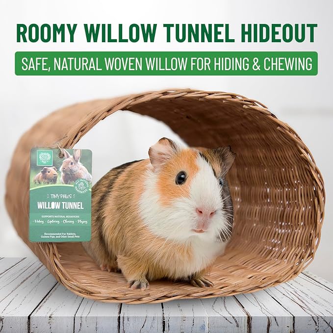 Small Pet Select - Tiny Paws Willow Play Pack, Natural Toys and Chews for Rabbits, Guinea Pigs, and Other Small Animals