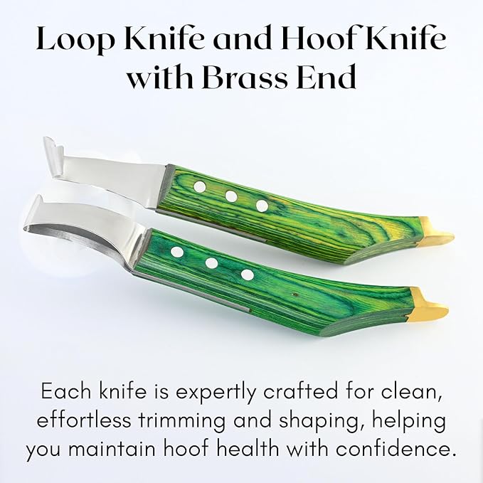 Premium Farrier Loop & Hoof Knife with Brass End – Professional Hoof Trimming Tool for Horses, Cows & Livestock, Stainless Steel Blade, Ergonomic Wood Handle (Green)