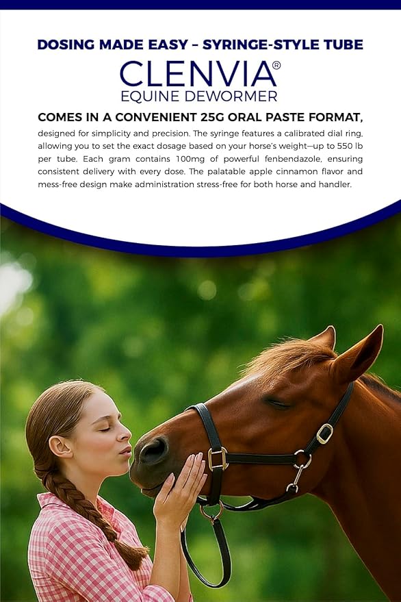 Horse Paste 10% – 4 Pack – 25g Syringes – Oral Deworming Paste for Horses of All Ages – Easy-to-Administer Equine Care