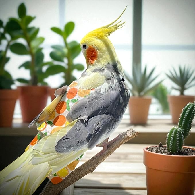 6PCS Washable Reusable Bird Diapers with Waterproof Lining & Adjustable Straps – Soft Parrot Diaper Clothes Costume Set for for Parakeets, for Budgies, for Mini Macaws (L)