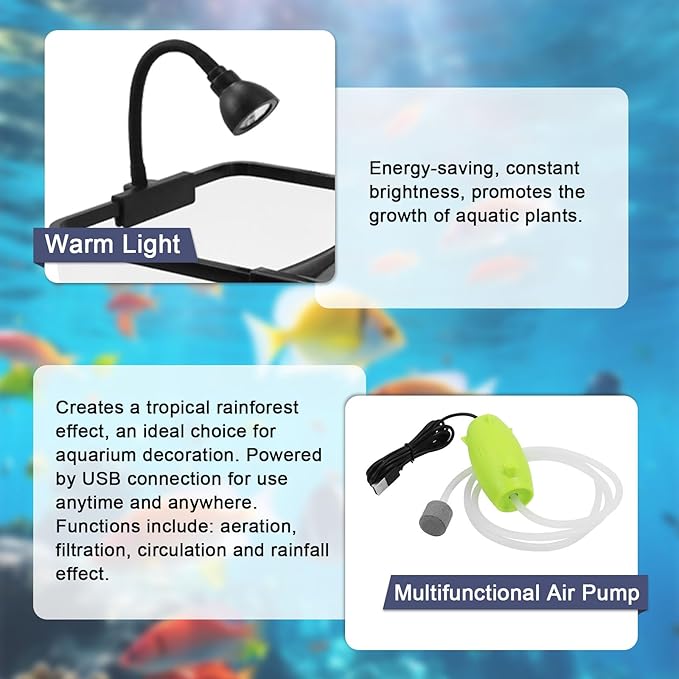5 Gallon Fish Tank for Betta Guppy Shrimp, Small Aquarium Starter Kit for Home Office with Clear Glass Design, Peceras para Peces con Luz Fish Net Booster Pump Aquatic Plants Pebbles by MCCKLE
