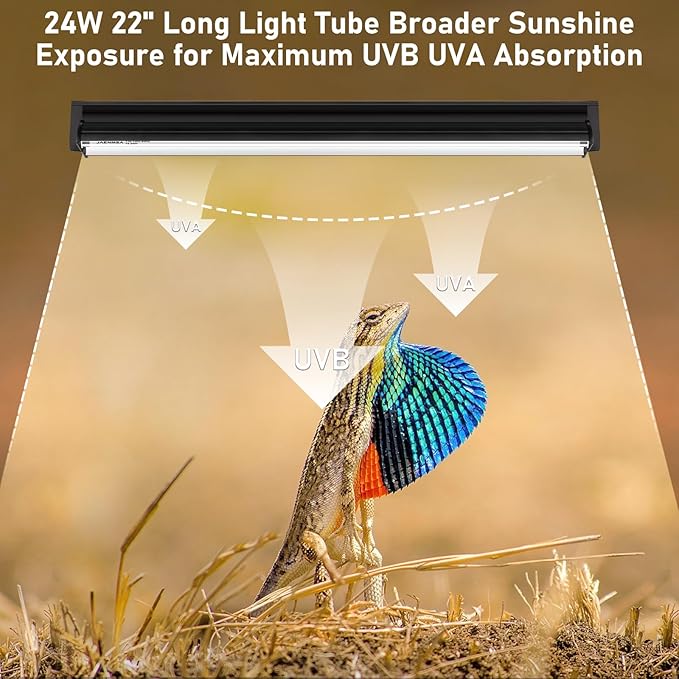 Bearded Dragon UVB Light Bulb T5 10.0,24W UVA UVB HO Reptiles Light Bar Bulbs 22 Inch for Bearded Dragon, Leopard Gecko Tortoise, Reptile & Amphibian Replacement Lamp Bulb 2 Pack