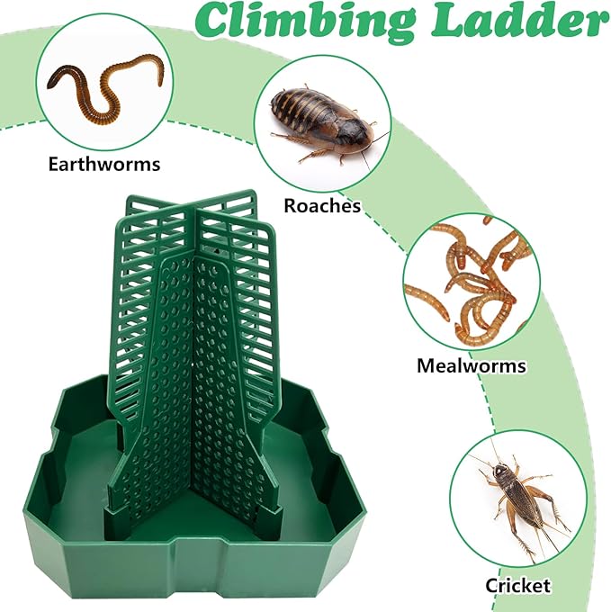 Chameleon Feeding Bowl Hanging Bearded Dragon Feeder Bug Bowls with Rope and Tweezers Mounted Insect Reptile Feeder Box for Lizard Gecko Frog (Green,Large)