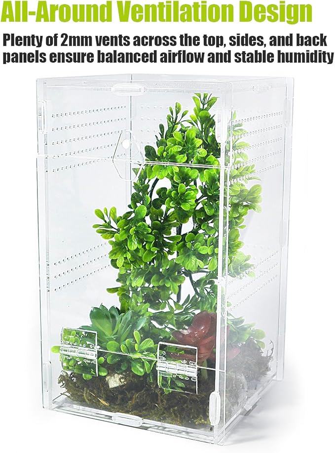 Jumping Spider Enclosure 6”x6”x10”, Transparent Arboreal Tarantula Habitat, Praying Mantis Terrarium Critter Cage for Jumping Spider, Tarantula, Mantis, Snail, Isopods, Beetles, Millipedes
