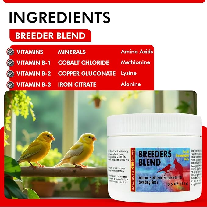 Morning Bird Breeders Blend 0.5 oz – Protein Supplement for Birds – Supports Breeding, Chick Growth, Muscle Development & Immune Support – Daily Vitamin Blend for Strong Bones & Overall Health
