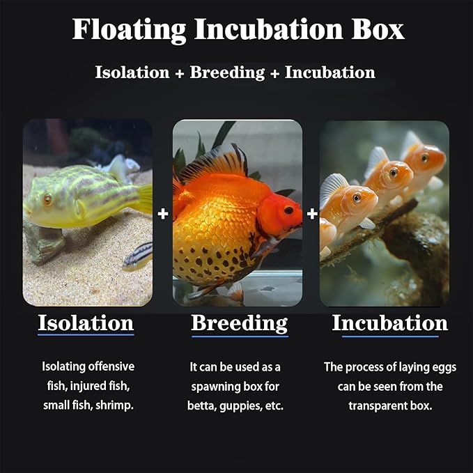 WEAVERBIRD Aquarium Fish Breeder Box, Acrylic Fish Isolation Breeding Box, Square Hatchery Box Hatching Incubator Box for Baby Fish Shrimp Clownfish Guppy