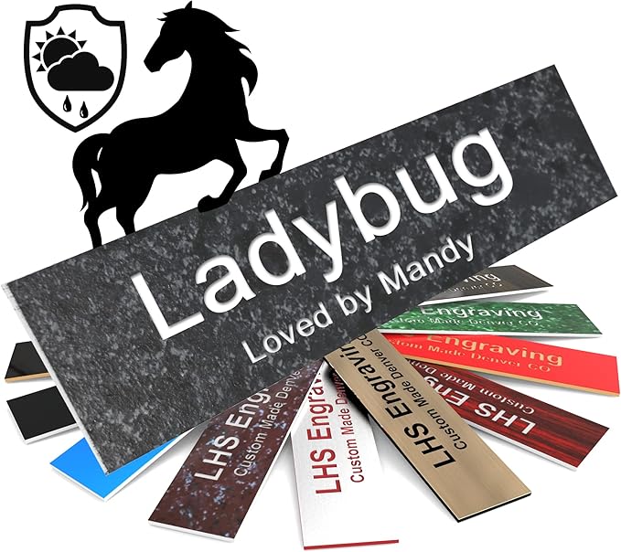 Personalized Horse Stall Name Plates, 2x6 Horse Stall Signs with Adhesive, All Weather UV Protected, Mojave Plastic White Letters - Made in USA - N8