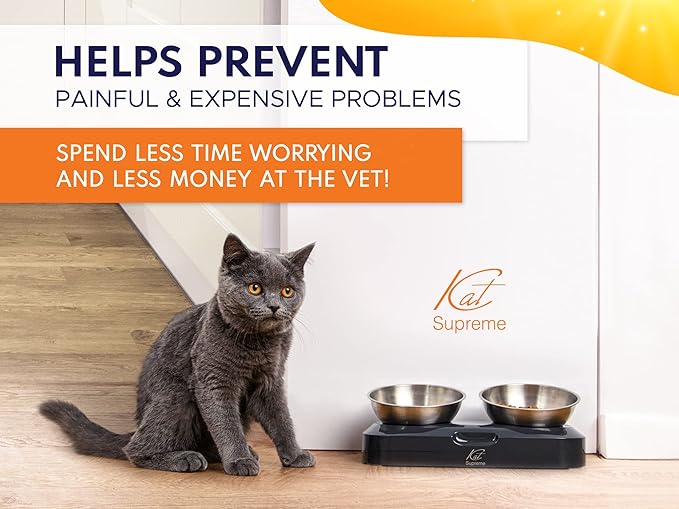 Cat Food Bowl - KATSUPREME Cat Bowls for Indoor Cats | Set of 2 Stainless Steel Bowl, Tilted Bowls Elevated Anti Vomiting, Non-Slip Base, Ant Proof Food & Water.