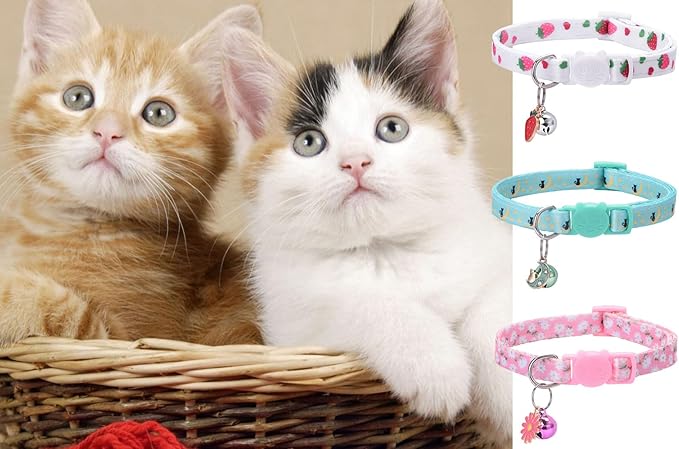 10PC Floral Cat Collar Set with Bells - Breakaway Safety for Kittens and Small Cats (#2)