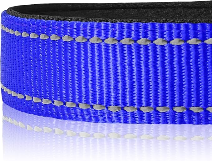 Joytale Reflective Dog Collar, Soft Neoprene Padded, Metal D-Ring, Nylon Pet Collar Adjustable for Extra Large Dogs, Royal Blue, XL
