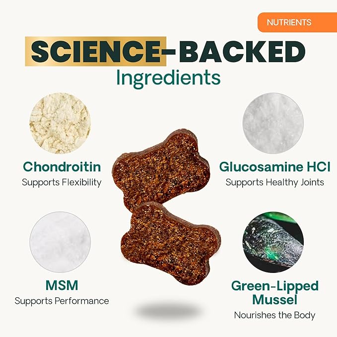 VetriScience Ultimate Strength Healthy Chews– Dog Glycoflex Plus Hip and Joint Supplement Glucosamine, MSM for Dogs & Green Lipped Mussel for Dogs, Duck, 60Count - New Look