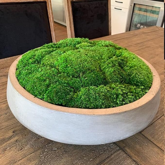 Preserved Pole Moss Pillow Bun Cushion Natural Green Decorative Real Natural Green DIY Kit Terrariums Gardenning Art Wall Decor Florist Decor Easter Table Wedding(1.5 sq.ft, Green-B)