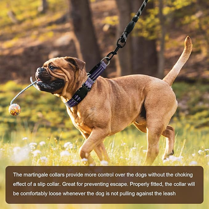Hikiko Martingale Collar for Dogs Reflective Nylon Dog Collar with Quick Release Buckle Adjustable Training No Slip Dog Collar (Large, Purple)