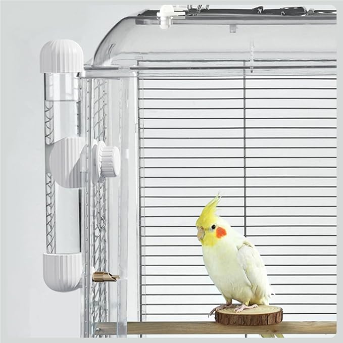 9.4 Fl Oz Bird Water Feeder No Mess Bird Cage Suspended Automatic Water Dispenser Parakeet Cockatiel Finch Lovebirds Budgies Canary (Green, 9.4 fl oz (280ml))
