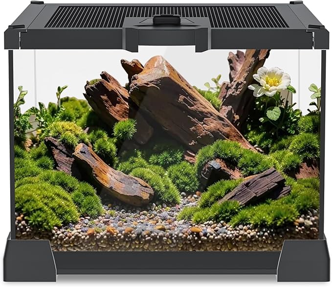 Mini Glass Terrarium Tank 8"x8"x6" with Top-Opening Mesh Lid, 360° Clear View, Ventilated Enclosure for Tarantulas, Jumping Spiders, Isopods, Froglets, & Small Reptiles