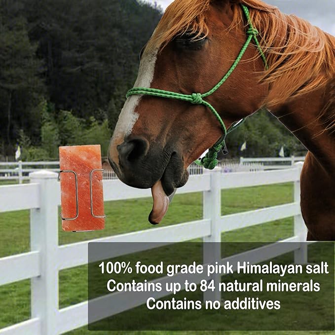 kathson Himalayan Salt Block for Horses,8x4x1 Inches Deer Salt Lick Brick Animal Salt Rock with Natural Vital Minerals for Deer Cattle Sheep Goats Livestock (1 Pcs)