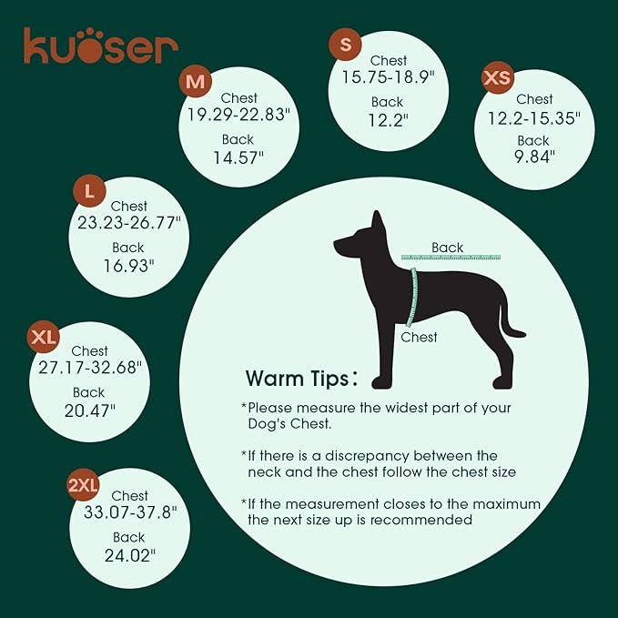 Kuoser Dog Surgery Recovery Suit, Thigh Wound Protective Sleeve for Dogs, Dog Recovery Sleeve for Female Male Dogs, Pet Surgical Suit for Spay Neuter, Dog Onesie After Surgery, Gray M