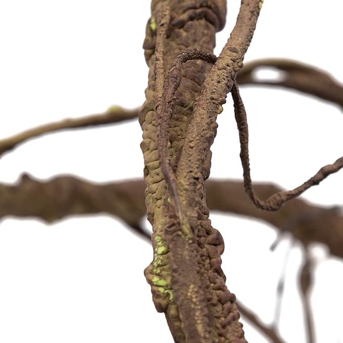 Pangea Reptile Ultimate Vine for Terrarium Habitat (Brown)