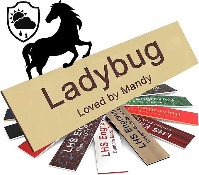 Personalized Horse Stall Name Plates, 2x10 Horse Stall Signs with Adhesive, All Weather UV Protected, Ivory Plastic with Brown Letters - Made in USA - B5