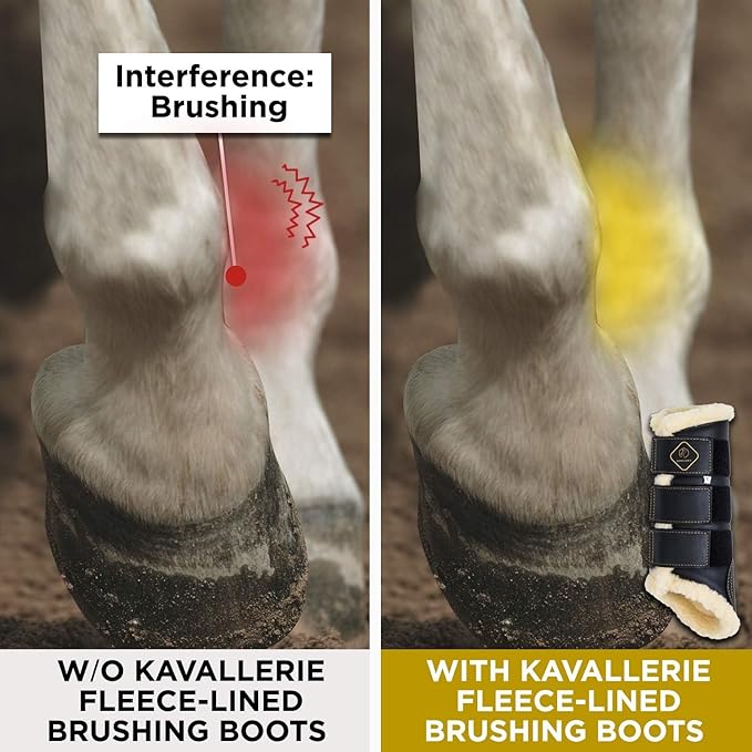 Kavallerie Classic Tendon Boots, Impact-Absorbing Material, Breathable & Evenly Distribute Pressure, Protect Tendon and Ligaments, Anti-Slip, Anti- Sore and Moisture Repellant Show Jumping Boots