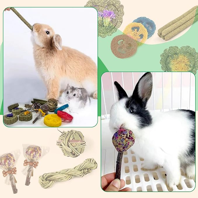 Rabbit Chew Toys for Teeth, 16PCS Natural Timothy Hay Chew Toy, Improve Dental Health for Bunny/Chinchilla/Guinea Pig/Hamsters/Holland Lop, Small Rodent Pet Molar Teeth Treats Toys