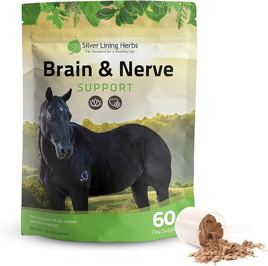 Silver Lining Herbs Brain & Nerve Support Supplement for Horses - Horse Supplements for Focus, Mental Health & Brain Support - Contains Herbal Blend of Ginkgo, Gotu Kola, & More - 1 lb 60-Day Supply