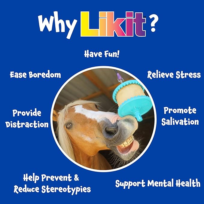 Little Likits Assorted Multipack