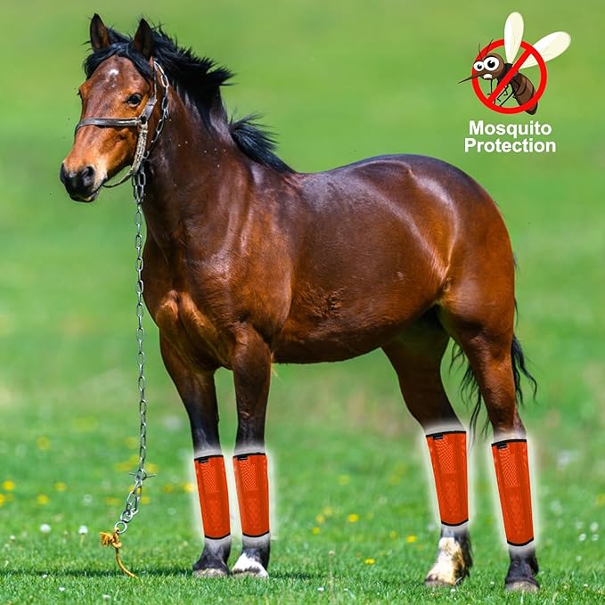 FOXLVDA Horse Fly Boots - Fly Boots for Horses Set of 4, Comfortable Horse Leggings, Mesh Material Design with Metal Support Bars for Reduces Stomping & Leg Fatigue (Orange, Large)