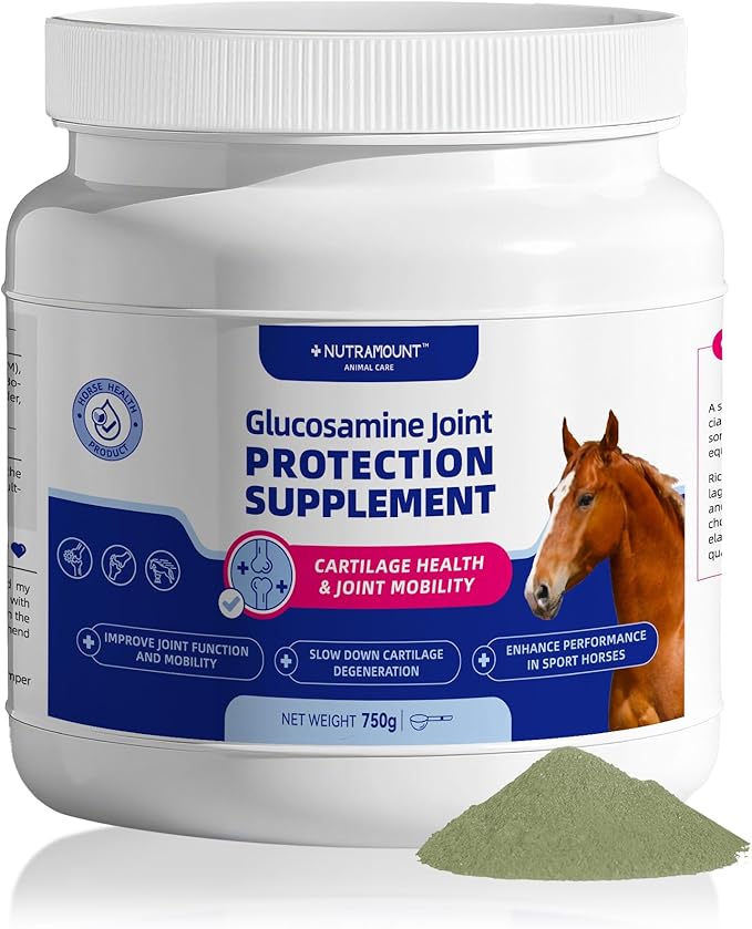 Glucosamine for Horses Joint Supplement for Horses Glucosamine Chondroitin Support Cartilage Health & Joint Mobility Horse Supplements 750g