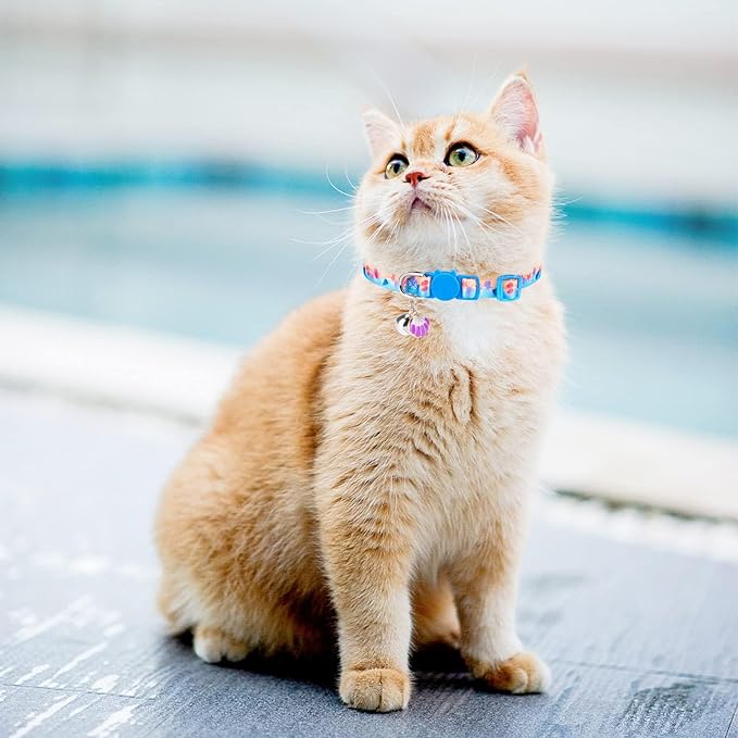 PUPTECK Summer Cat Collars Breakaway with Bell - Pet Collar 3 Pack for Girl Boy Kittens Puppies and Small Pets
