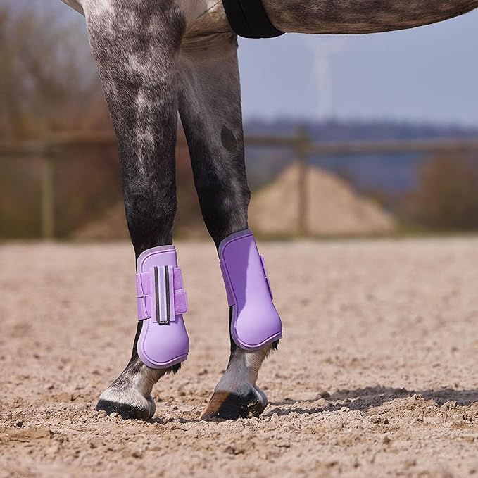 HORZE Adepto Open Front Tendon Boots | Durable Shell with Neoprene Lining - Languid Lavender Purple - Horse