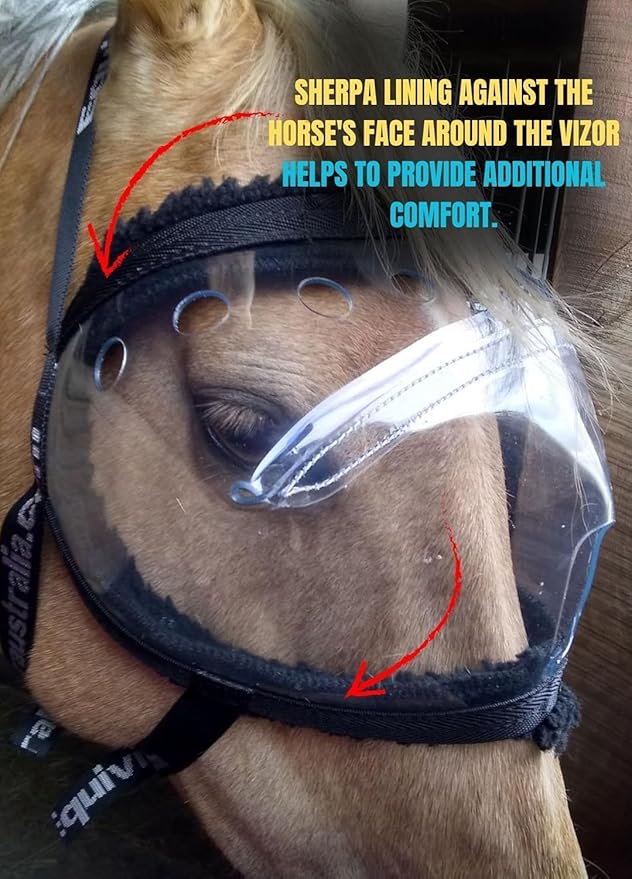 Recovery Vizor (Size Mini/Foal - Clear UV Tint) Medical and Preventative Horse Eye (Goggle) Protection Mask for Uveitis/Injury/Scratch or Corneal Ulcer, Infection, Blindness, Photosensitivity