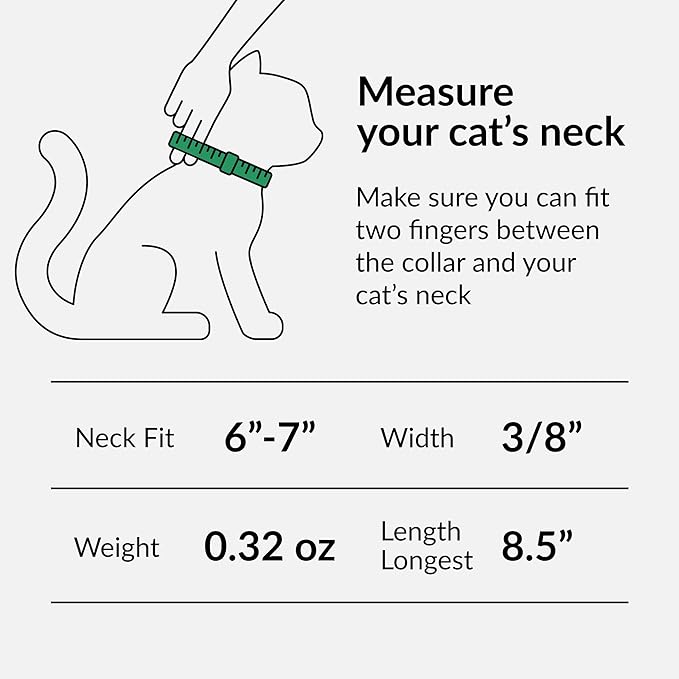 CollarDirect Leather Cat Collar with Removable Bell (Navy Blue, 6-7 Inch)