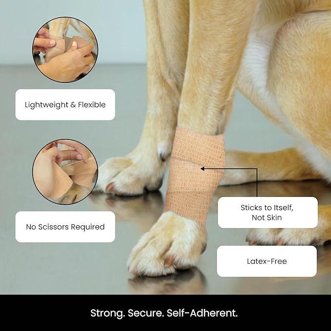 Juvale Cohesive Bandage Vet Wrap Rolls - Sprain & Strain Support Elastic Bandage & Vet Wrap for Dogs & Horses - Self-Adherent Dog Wound Care Tape - First Aid & Sports Tape - 12 Count, 4 in x 5 yd