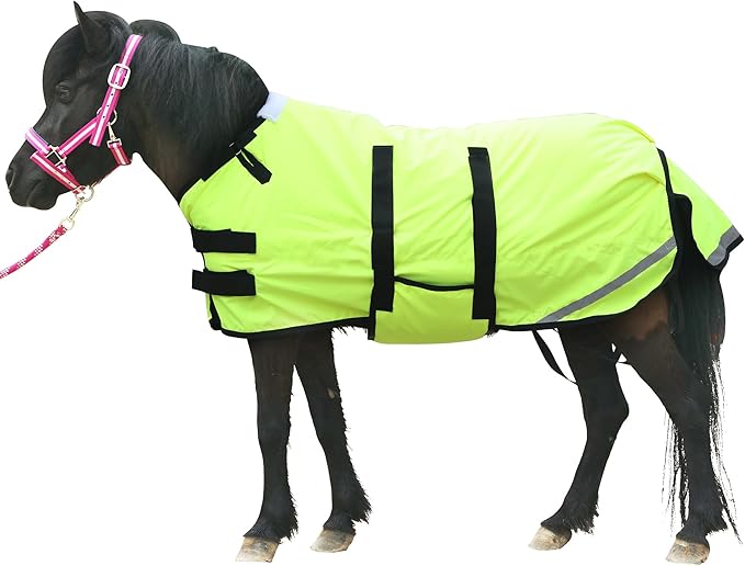 Foal/Mini Horse Size 30"-48" Waterproof & Breathable 300 Denier Winter Turnout Blanket with 150g Polyfill Green Large