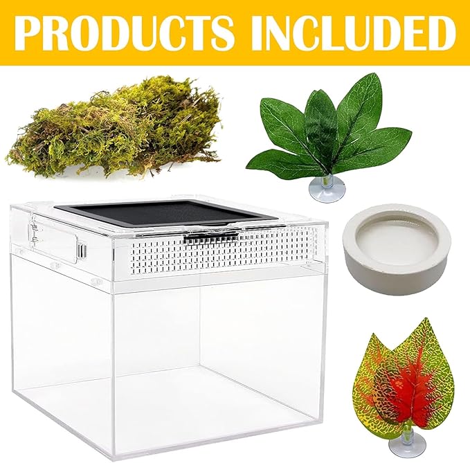 Reptile Terrarium, Jumping Spider Enclosure Starter Kit, Leopard Gecko Habitat Container, 8"x8"x6"Reptile Tank for Tarantula, Hermit Crab, Insect, Fish, Frog, Small Bearded Dragon, Lizard