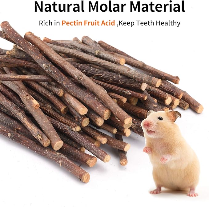 Natural Apple Sticks, 500g Treats Food for Small Animals, Chew Toys for Chinchilla Guinea Pigs Rabbit Squirrel Hamster Bunny