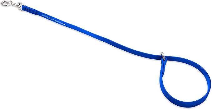 Jelly Pet Grooming Loop Slip Style (3/8" x 25", Royal Blue) | Made in The USA