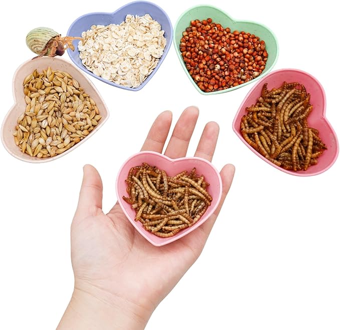 4 Pack Hermit Crab Plastic Food Dish, Hermit Crab Food & Water Bowl, Mini Food Dish Kit, Suitable for Hermit Crab Tarantula Snail