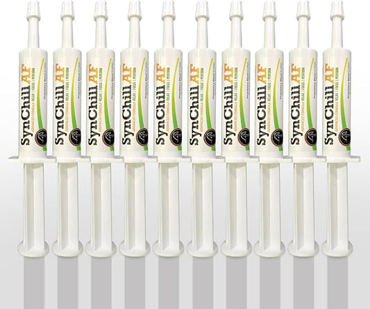 SynChill AF Calming Gel for Nervous Horses - Single Serving - Advanced Formula with L-Theanine, Increased Potency, 100% Natural Supplement, Disposition & Confidence Support for Horses - 10 Pack