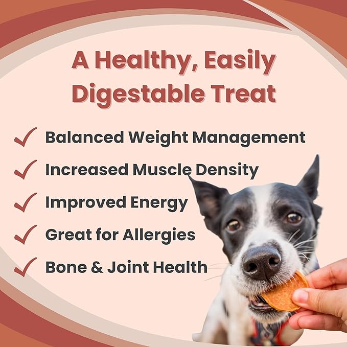 Farm To Pet Dog Training Treats, Healthy Turkey Dog Treats - 12 oz, Crunchy, Single Ingredient, All Natural Turkey Chips, Easy to Digest, Great for Dogs with Chicken Allergies, Made in USA